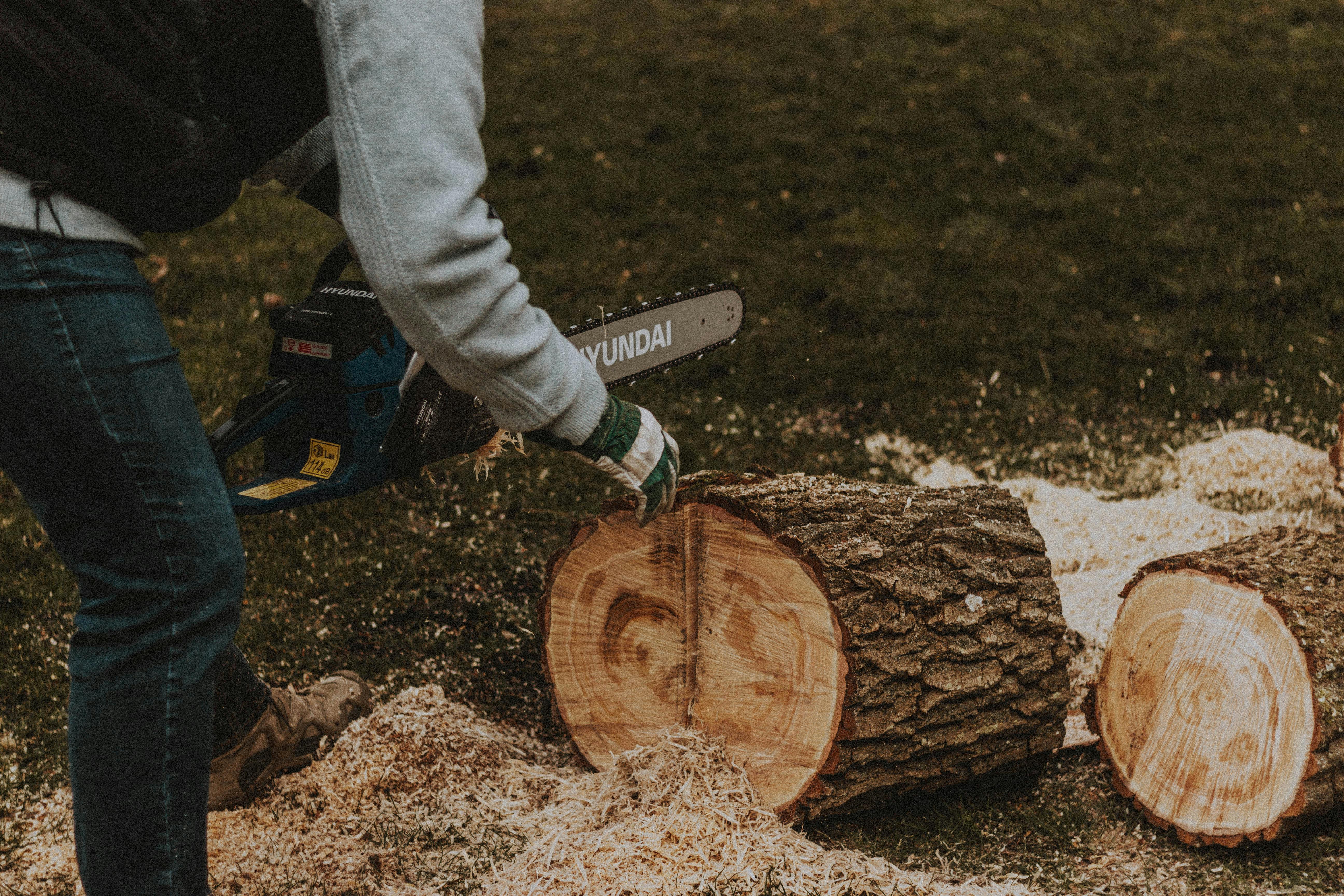 Worker preparing chainsaw for tree cutting