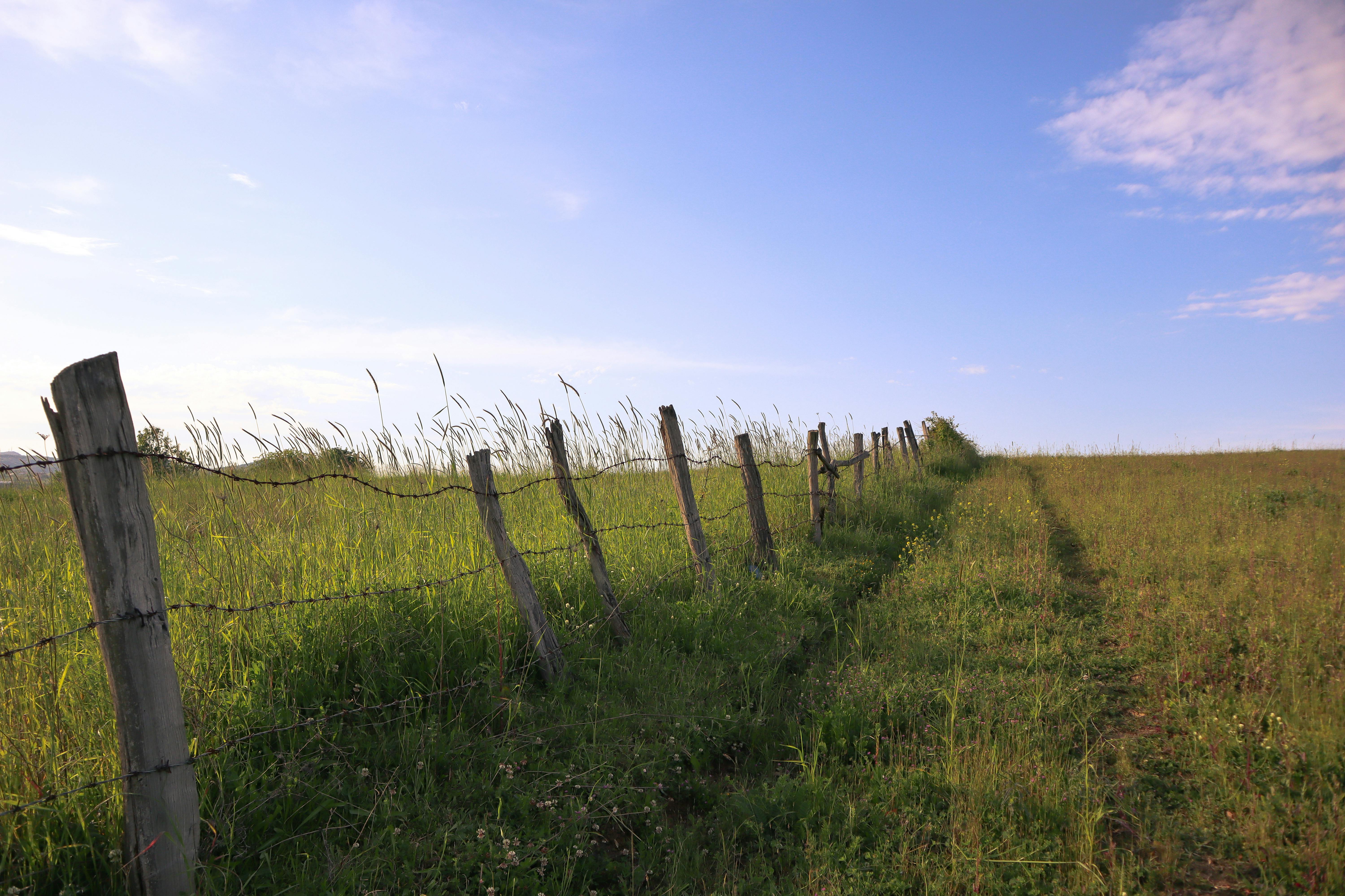 Ranch barbed wire fence line through pasture
