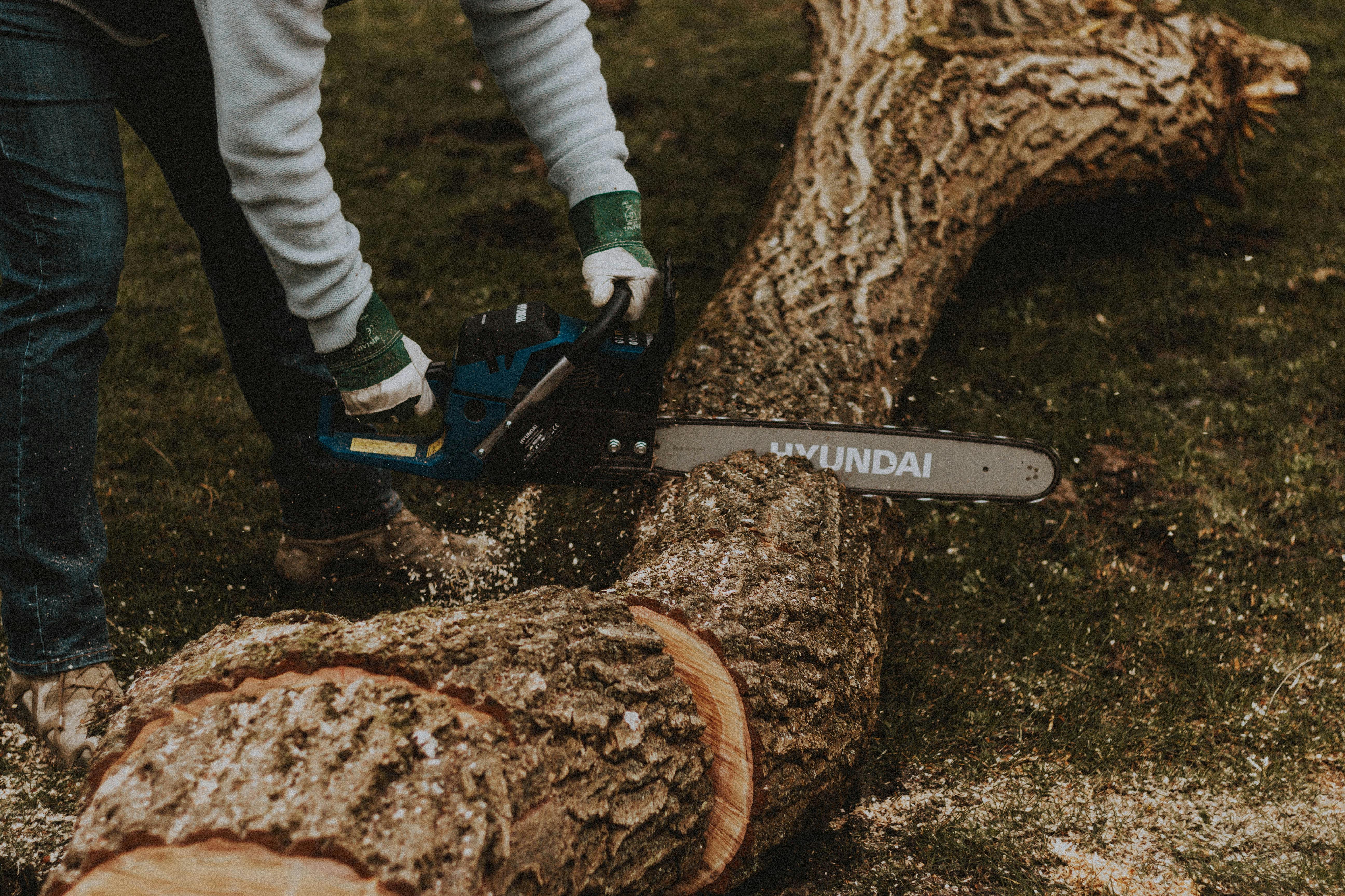 Chainsaw cutting through fallen timber