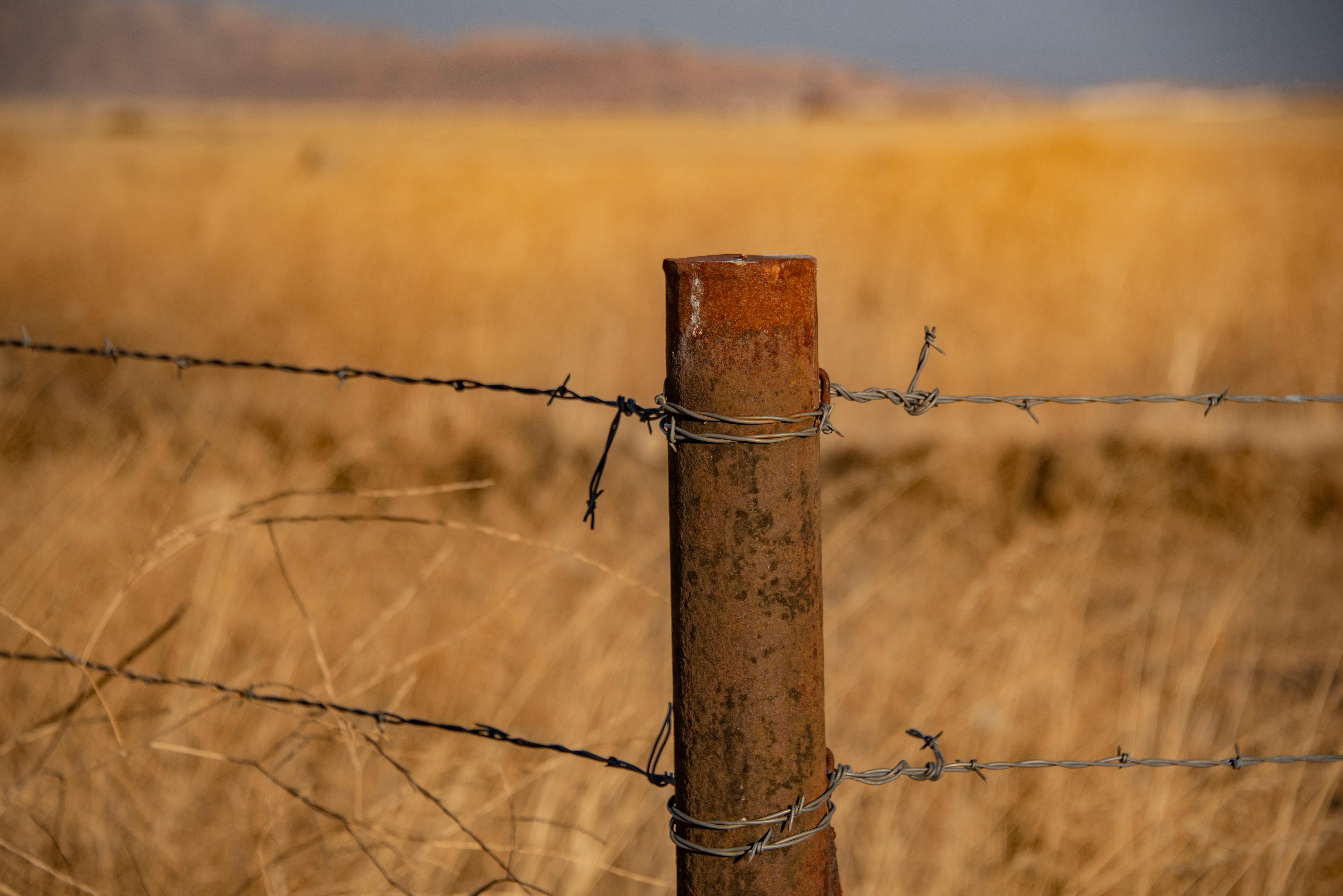 Close up of rusty barbed wire fence post